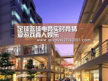 案例展示一(图1)