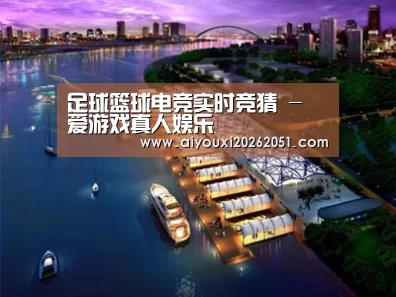 案例展示八