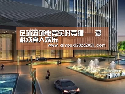 案例展示二