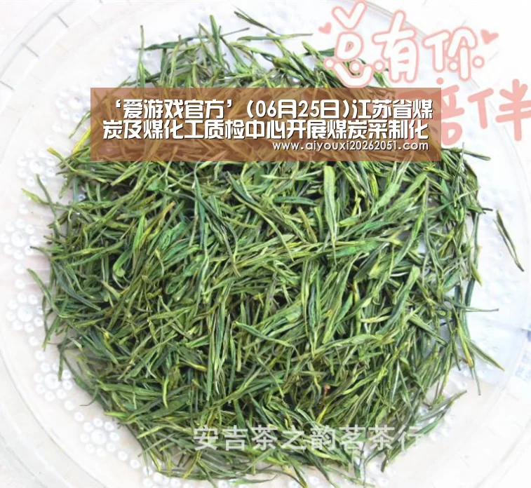 ‘爱游戏官方’(06月25日)江苏省煤炭及煤化工质检中心开展煤炭采制化检测技能培训(图2) 爱游戏官方