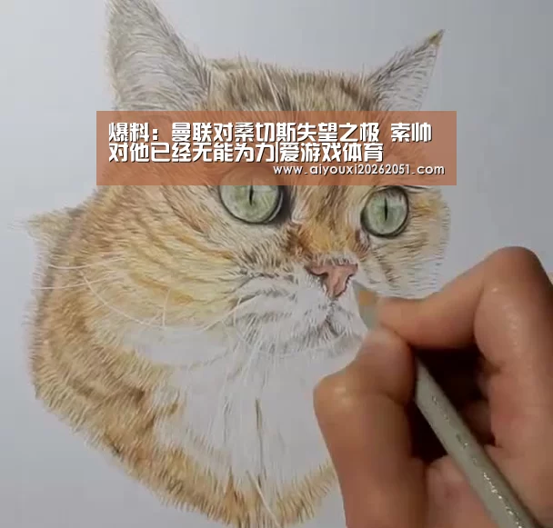爆料:曼联对桑切斯失望之极 索帅对他已经无能为力|爱游戏体育(图4) 爱游戏电竞