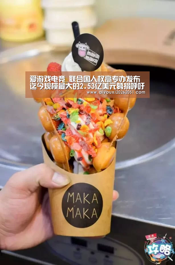 爱游戏电竞_联合国人权高专办发布迄今规模最大的2.53亿美元募捐呼吁(图1) 爱游戏直播