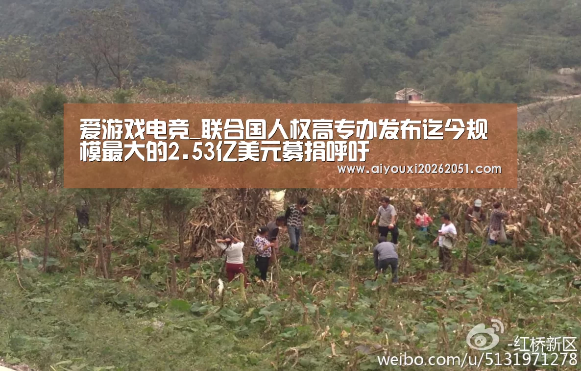 爱游戏电竞_联合国人权高专办发布迄今规模最大的2.53亿美元募捐呼吁(图2) 爱游戏电竞