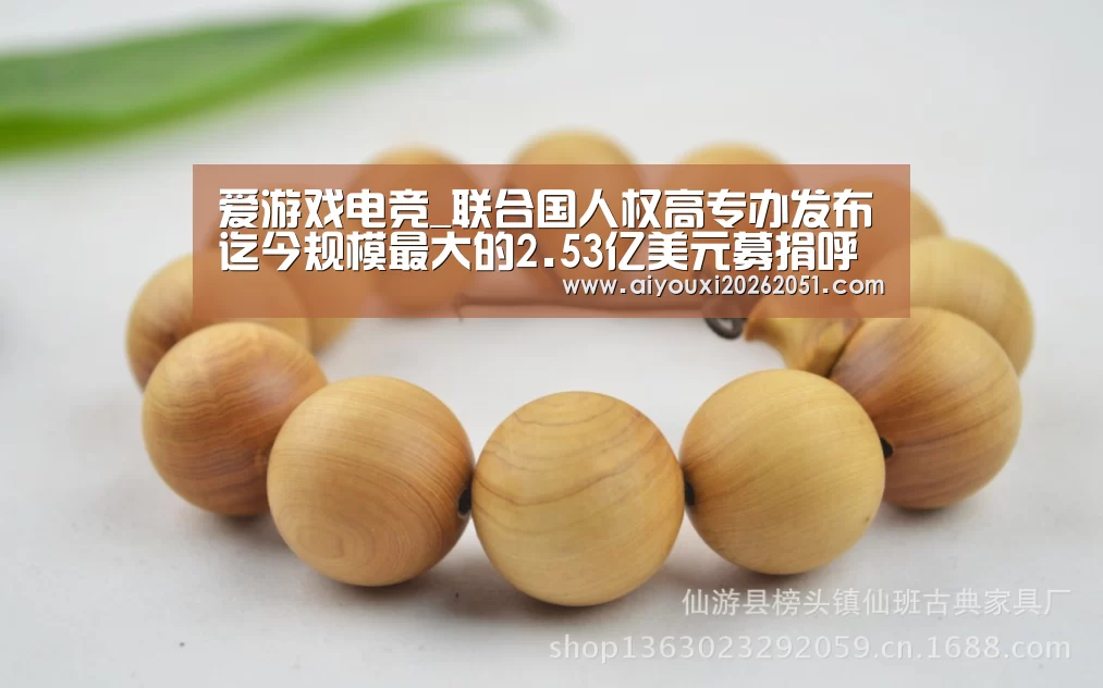 爱游戏电竞_联合国人权高专办发布迄今规模最大的2.53亿美元募捐呼吁(图3) 爱游戏官方