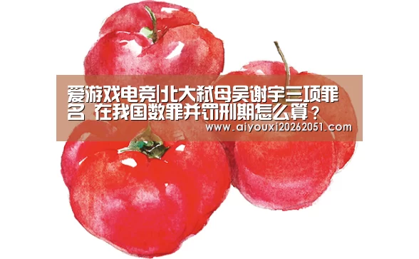 爱游戏电竞|北大弑母吴谢宇三项罪名 在我国数罪并罚刑期怎么算?(图3) 爱游戏直播