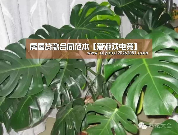 房屋贷款合同范本【爱游戏电竞】(图1) 爱游戏直播